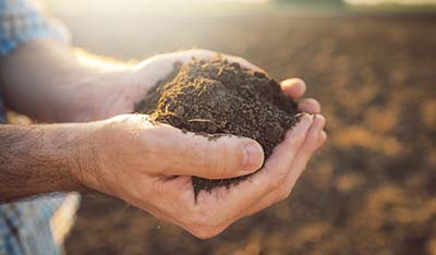 Handful of arable soil in hands of responsible farmer, close up, selective focus